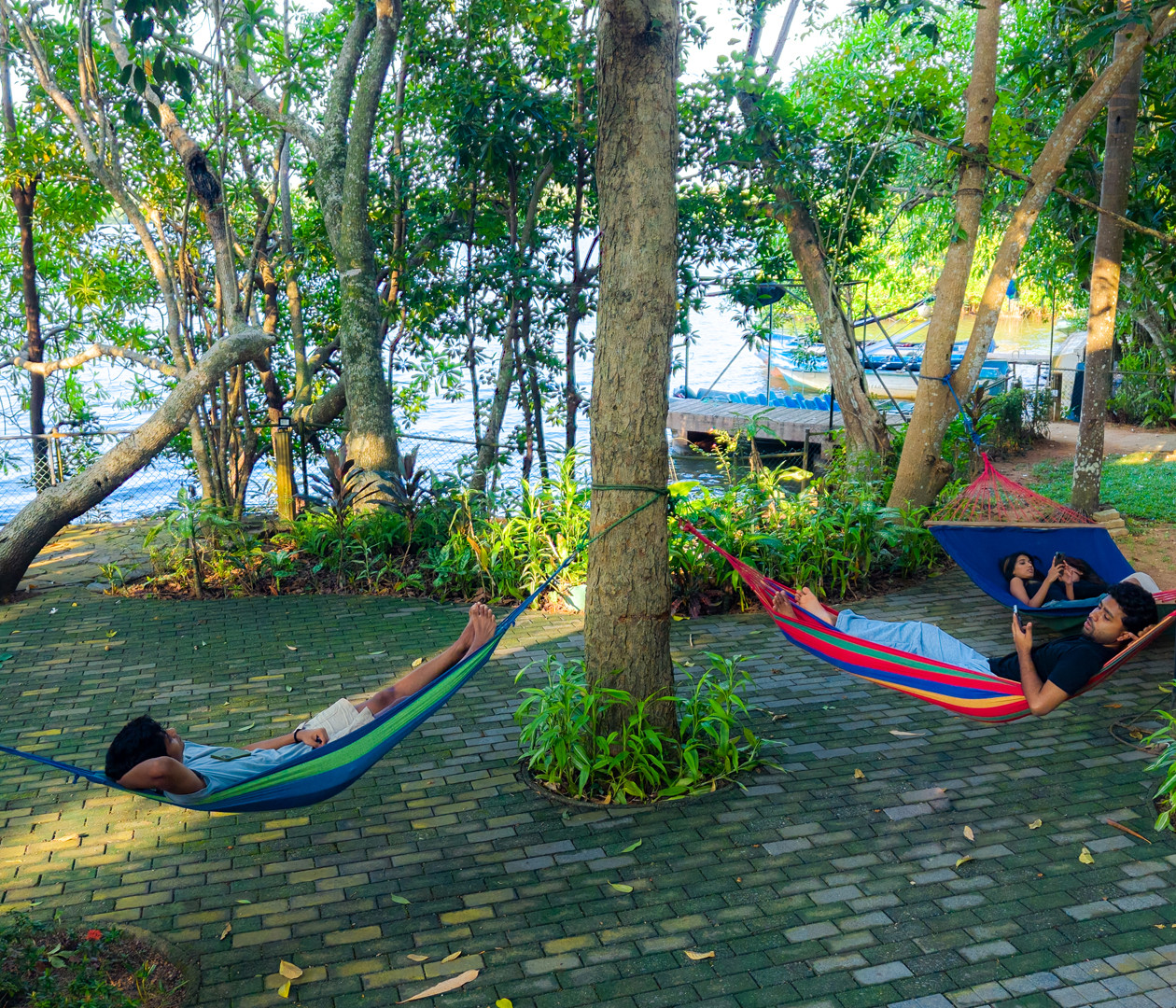 Activities